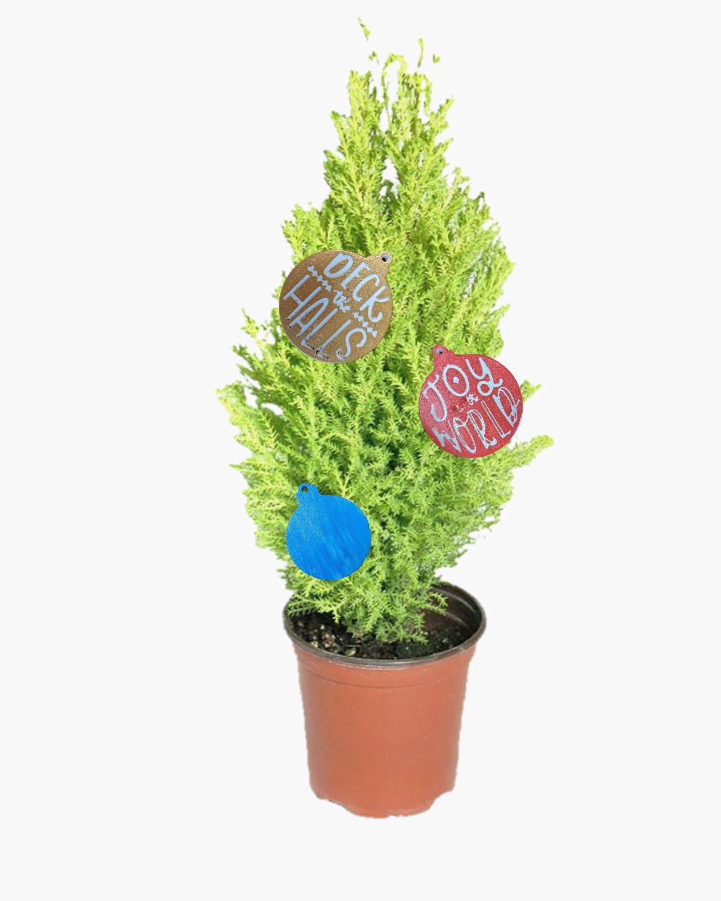 Trim-A-Tree Workshop example project with holiday ornaments