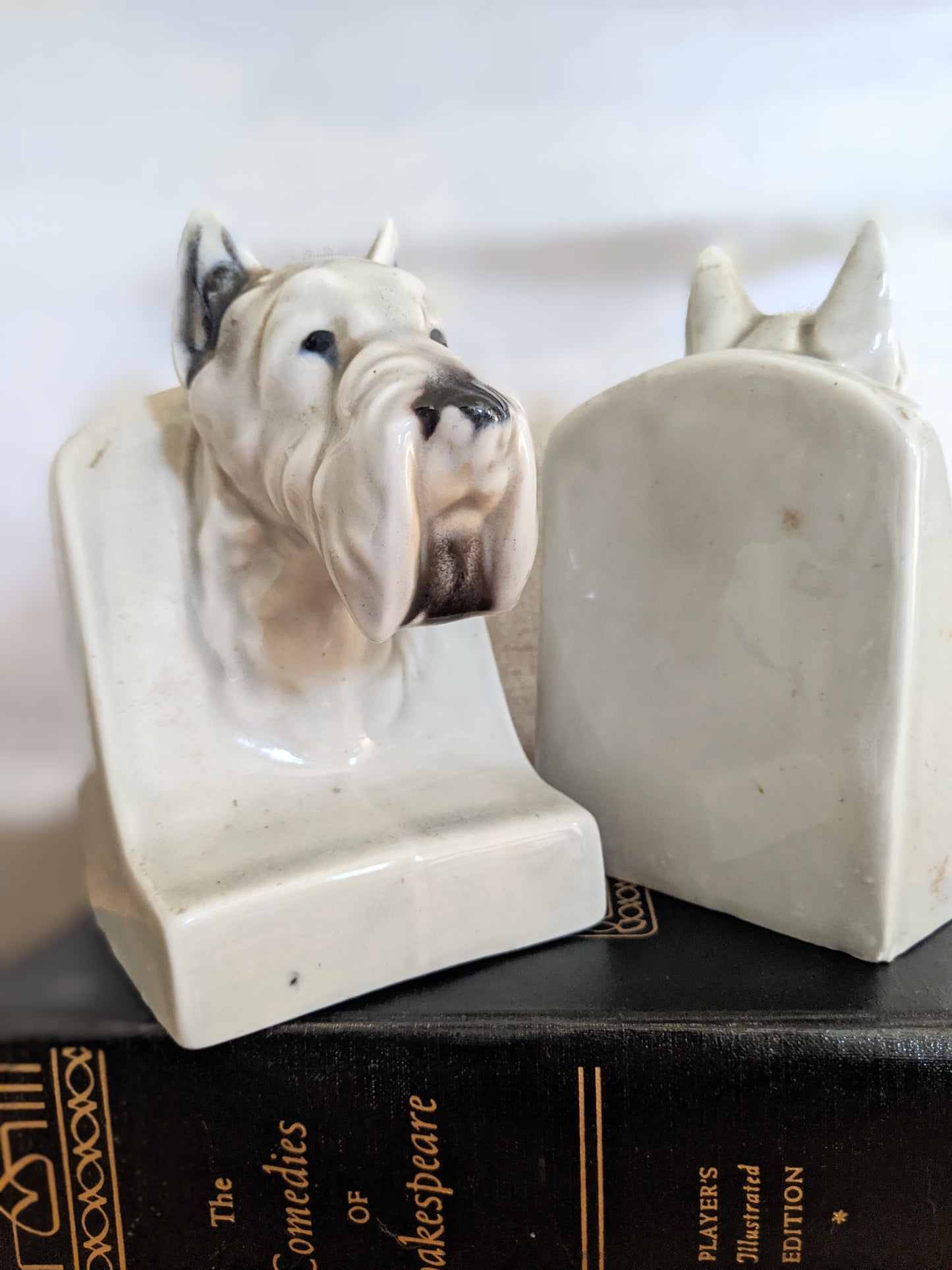 Great Scott Bookends