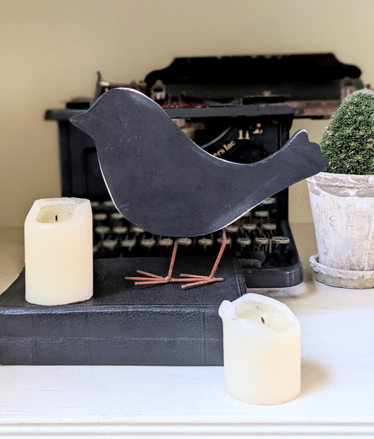 Rustic Blackbird