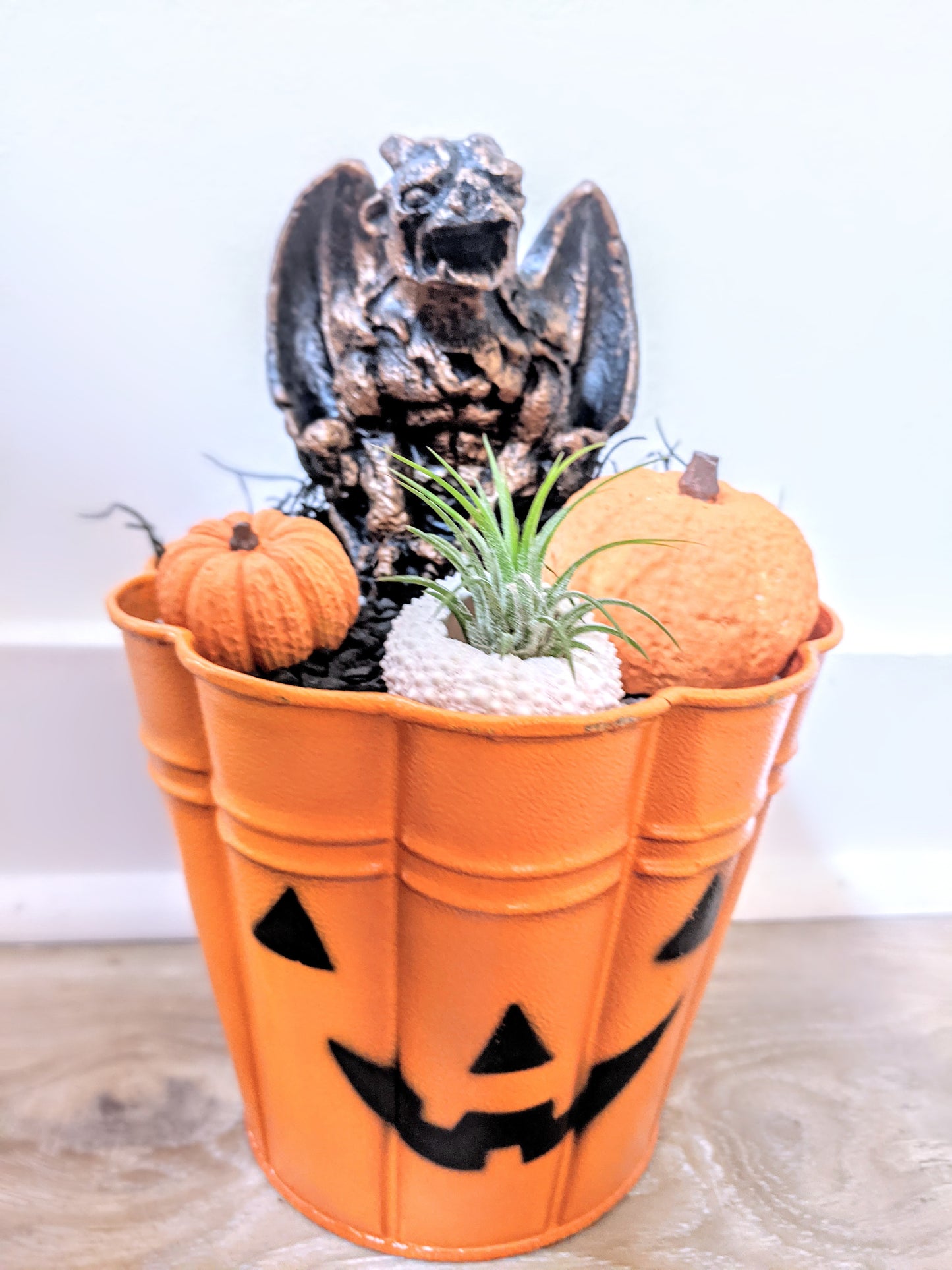 Creepy Cute Pumpkin Planter Workshop Saturday October, 7th