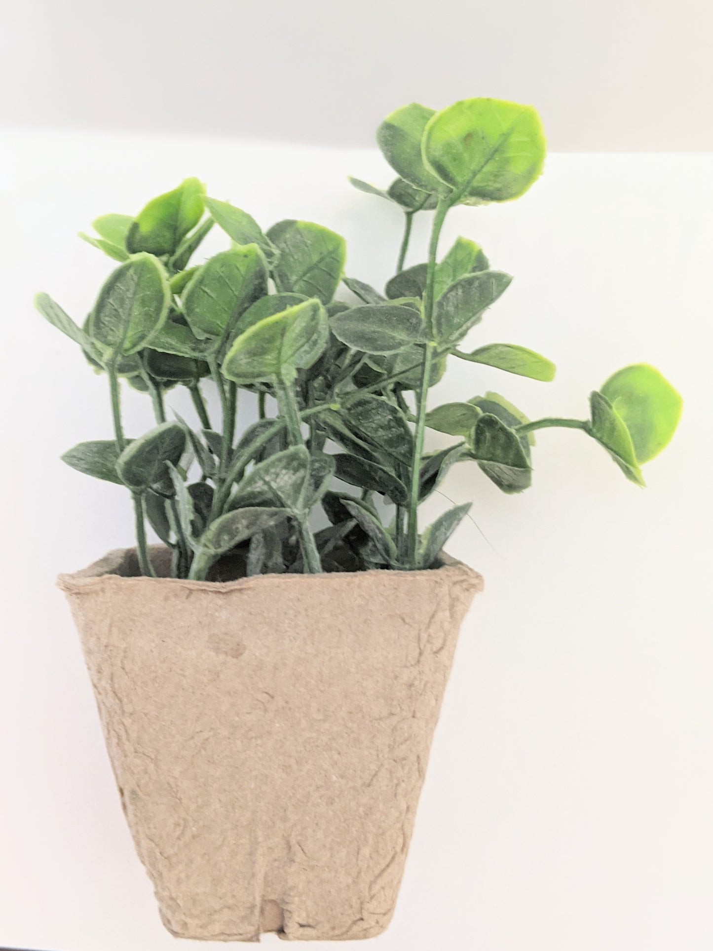 Lucky Faux Clovers
