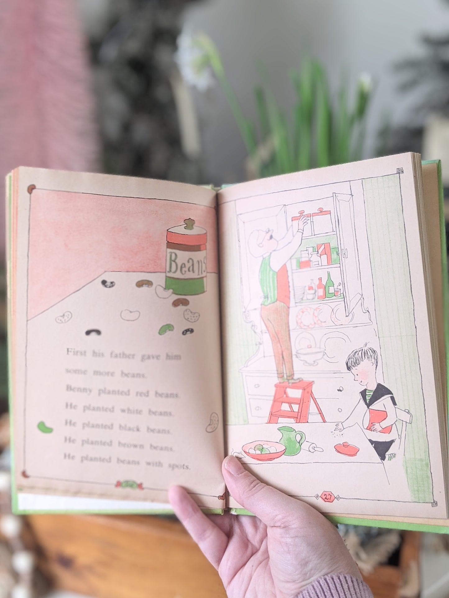Seeds And More Seeds 1950's Children's Book