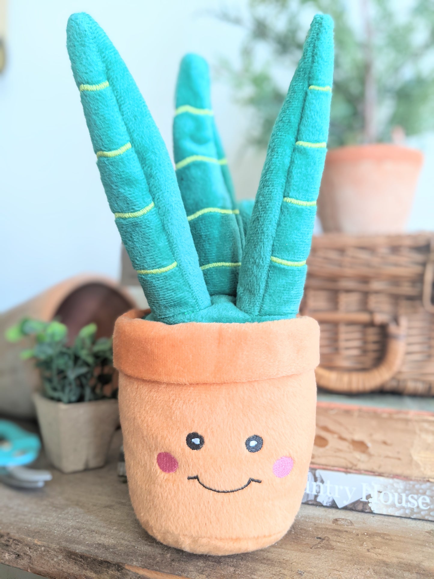 Pup Plant Toy