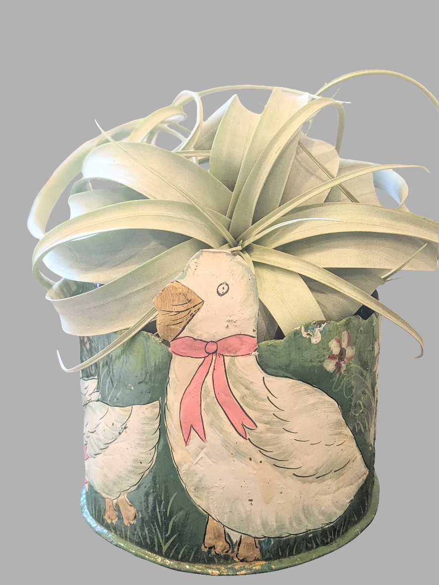 Christmas Goose Planter