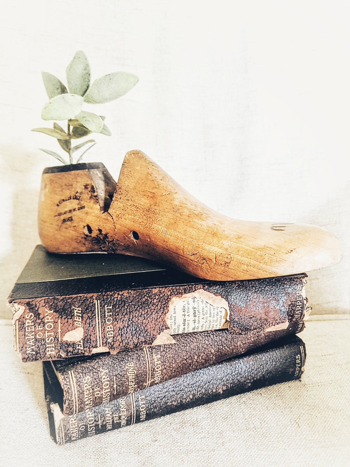 Antique Wood Shoe Last