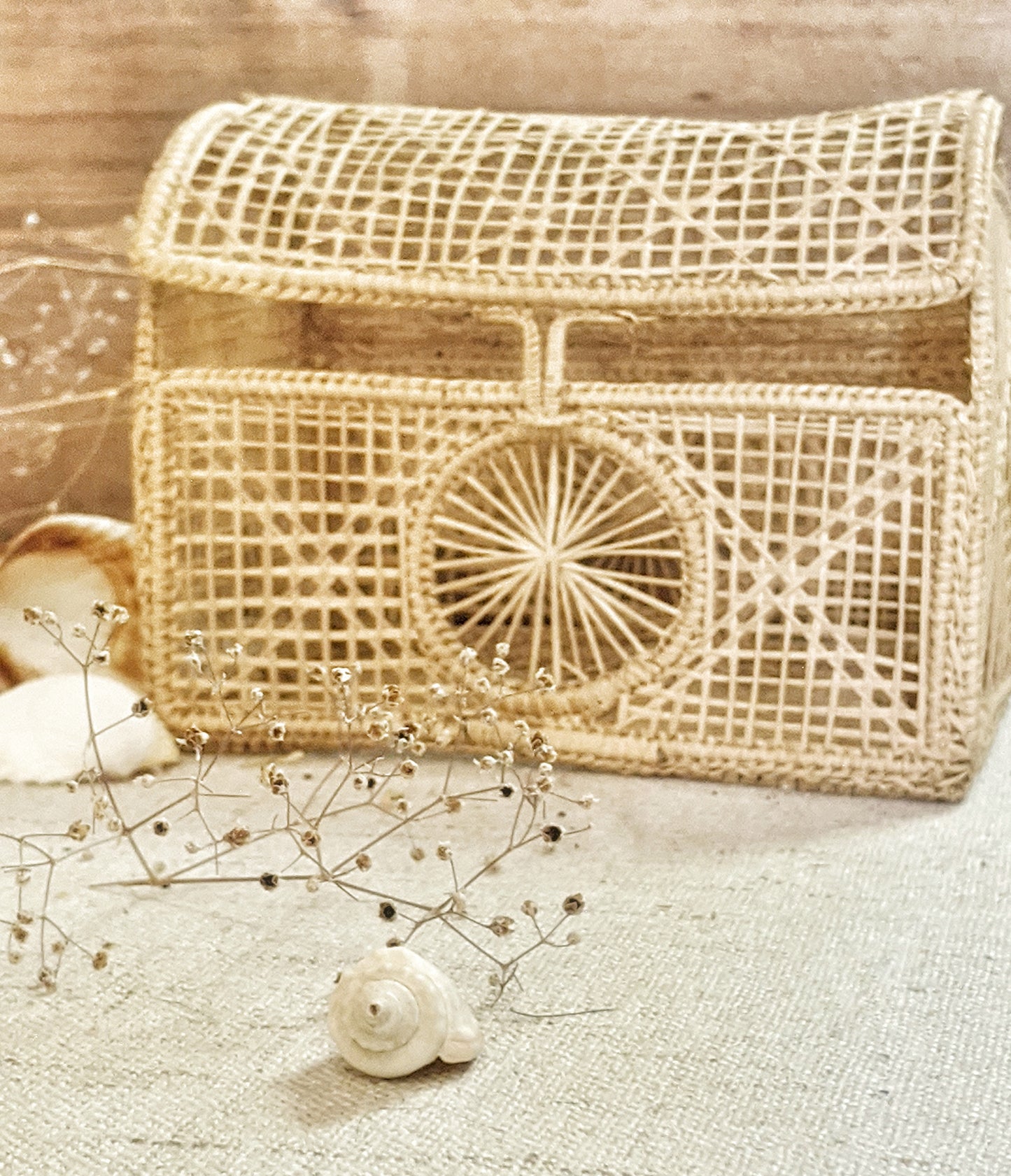 Wanderlust Woven Treasure Chest