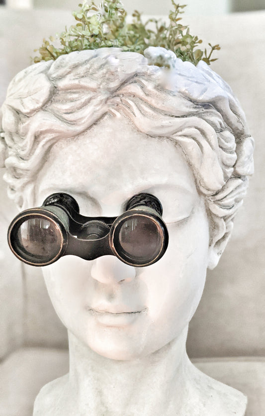 Vintage home decor binoculars