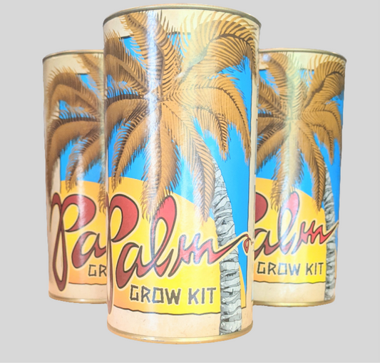 Palm Tree Grow Kit