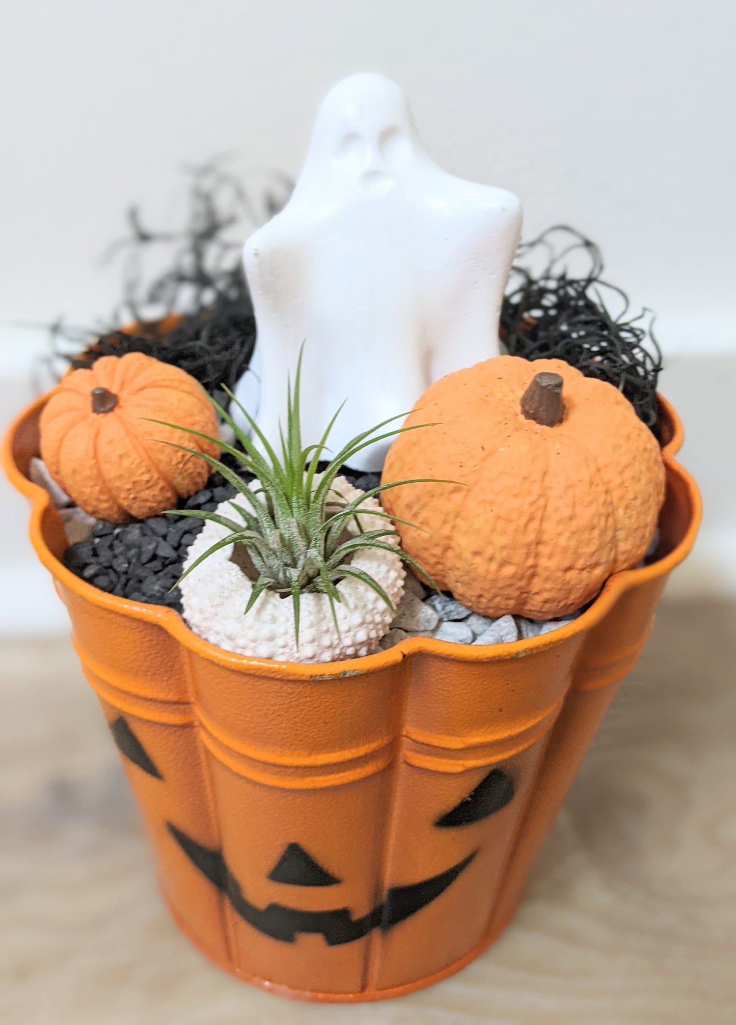 Creepy Cute Pumpkin Planter Workshop Saturday October, 7th