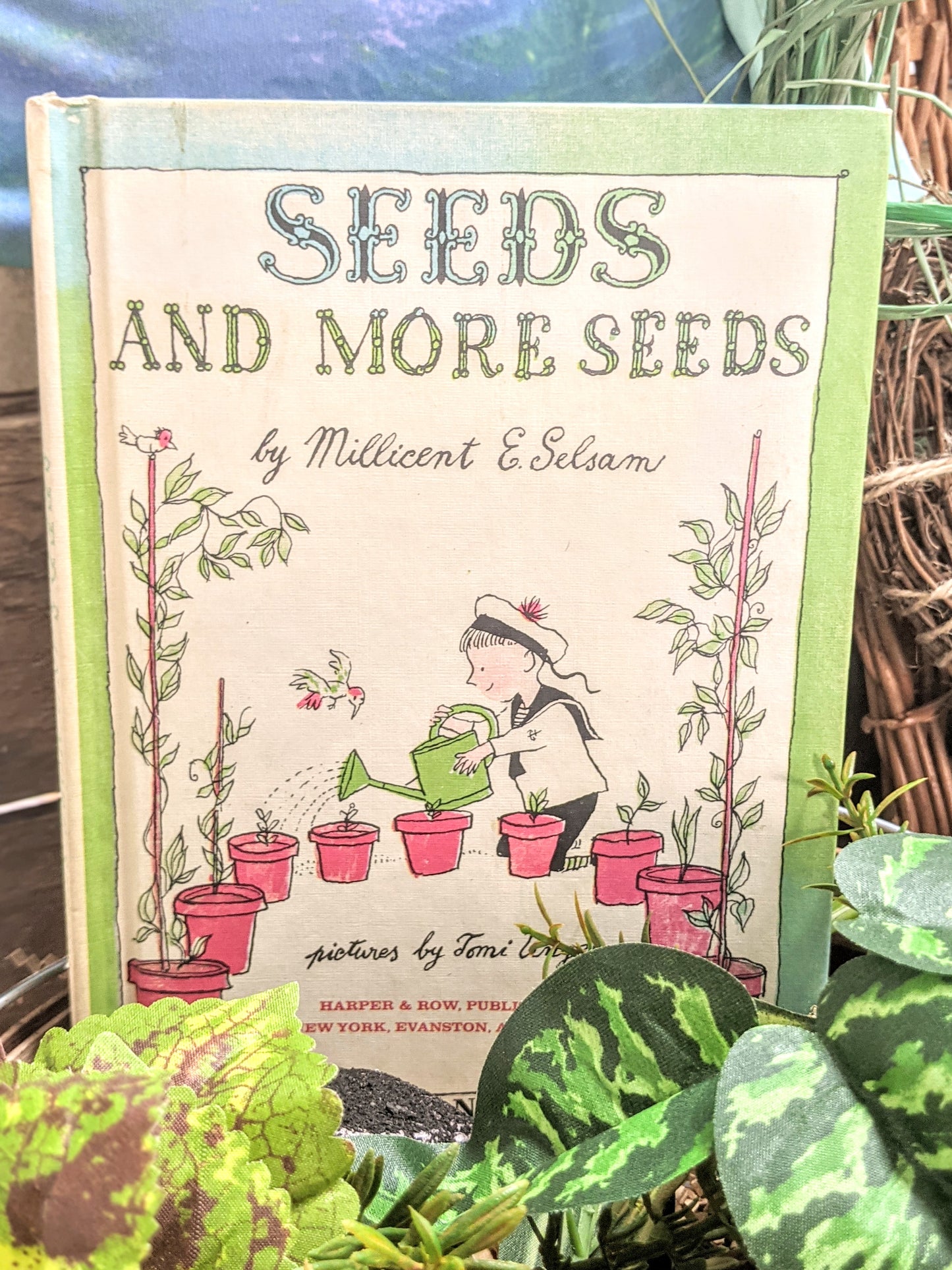 Seeds And More Seeds 1950's Children's Book
