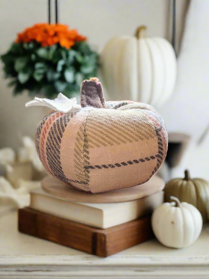 Featured Find: The Plaid Pumpkin