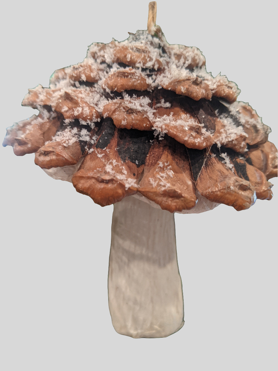 Frosted Mushroom Ornament